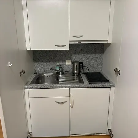 Flat In Apartment Zurich