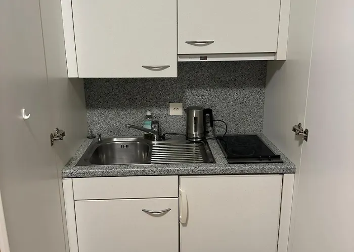 Flat In 公寓 苏黎世